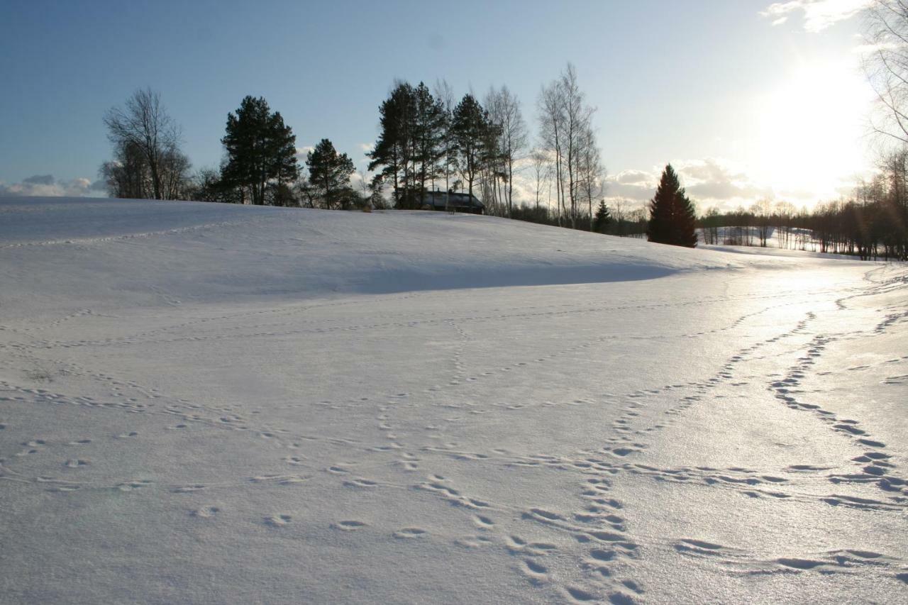 Mikalojiskis Inturke Exteriér fotografie