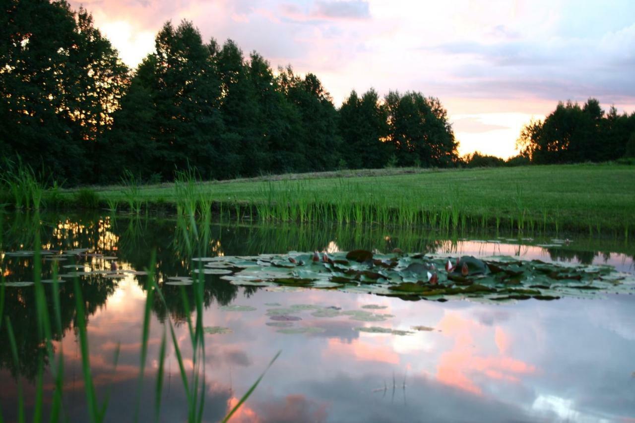 Mikalojiskis Inturke Exteriér fotografie